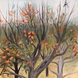 Хмурые деревья хурмы