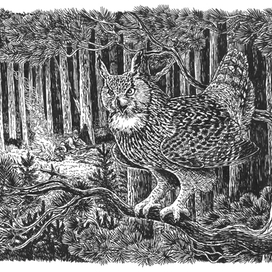 Оправдывающий своё народное название.