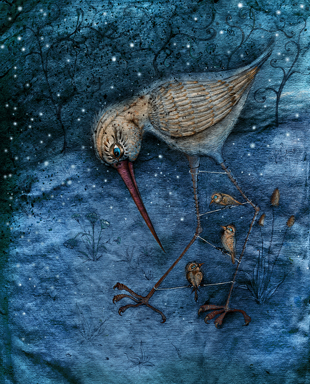 птичья семья