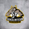 Логотип SAKULIN TEAM 