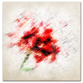 гвоздика red