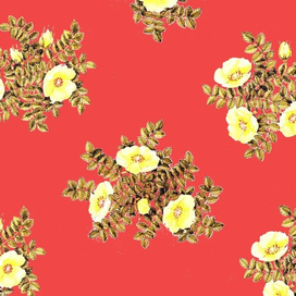 Узор шиповник