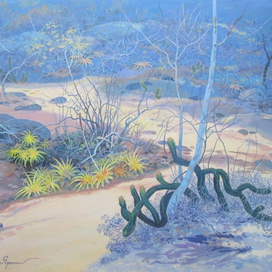 На склонах Серры да Барригуда