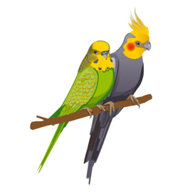 Попугаи для упаковки корма