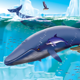 Среди льдин...