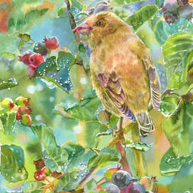 После дождя