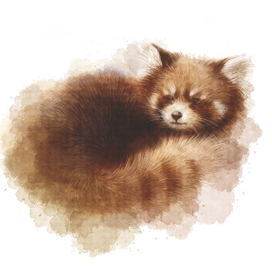 Малая панда