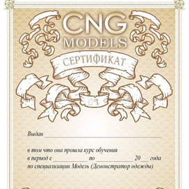 сертификаты / дипломы