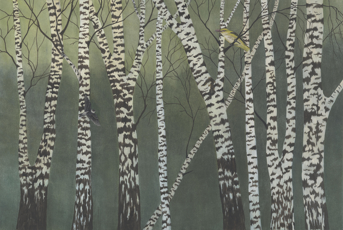 Лесные домишки