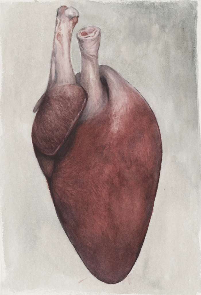 bon appétit mon amour 