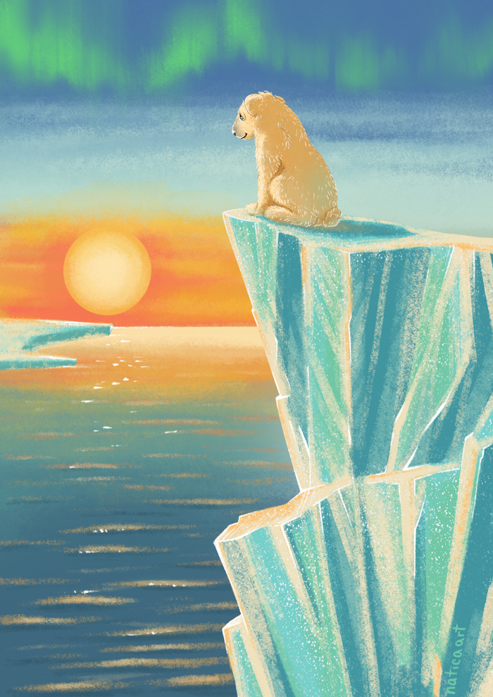 Мишка на закате