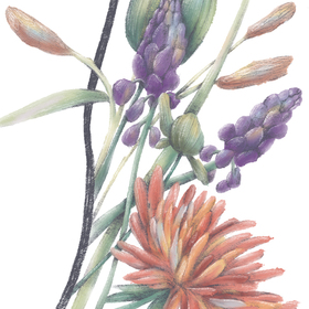 Цветы&любовь