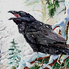 Птицы зимой