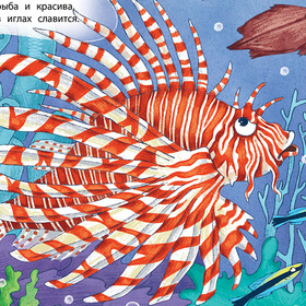 Морской звездочёт