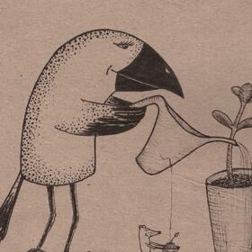 Ворона Барбара и ее ипостаси