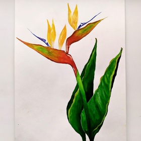 Ботаническая иллюстрация