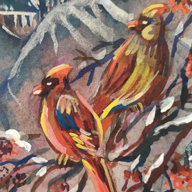 Cardinal Birds