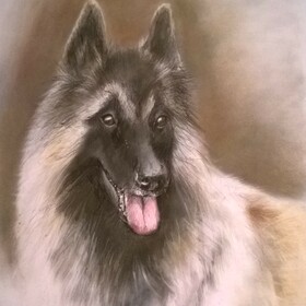 Портреты животных по фото на заказ