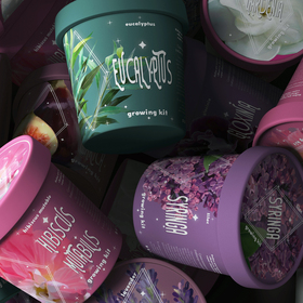 Ботаническая иллюстрации и дизайн упаковки