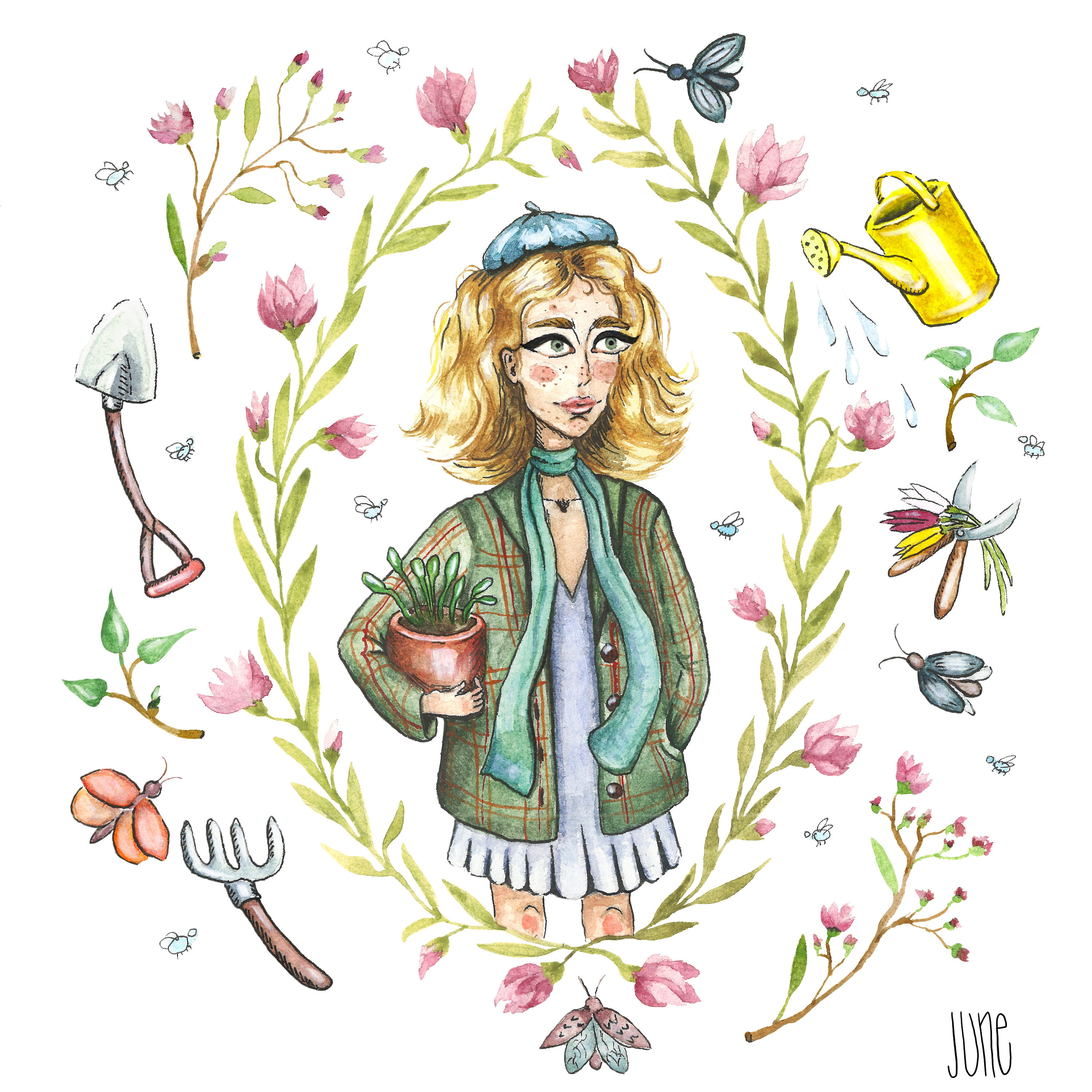 Seasons