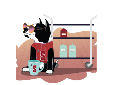 Чивас- заказ