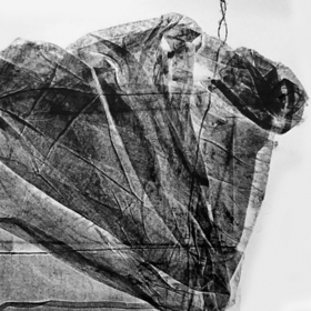 Коллаграфии