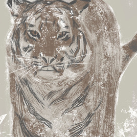 Тигриные скетчи