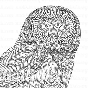 Хищные птицы - медитативная раскраска антистресс 