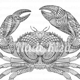 Ракообразные - медитативная раскраска антистресс 