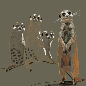 Иллюстрации для крокодильей фермы