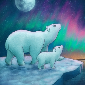 Нарисуй свой Север