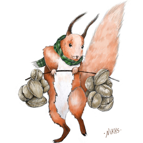 осенние Белочки