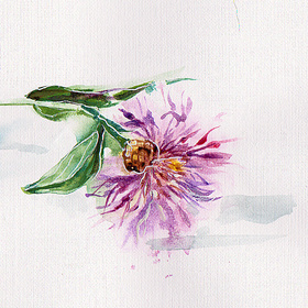 Уходящее лето