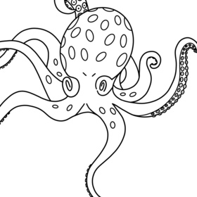 Графика, раскраски