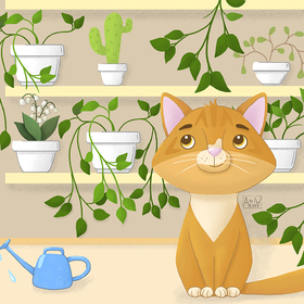 Найли отличия