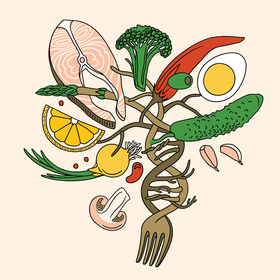 Иллюстрация для обложки книги "Вы - то, что ели.." 