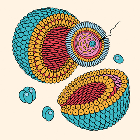 Иллюстрация для обложки книги "Танец жизни" 