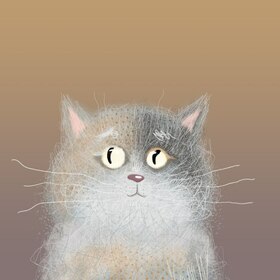 Котики
