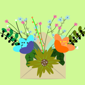 иллюстратор начало