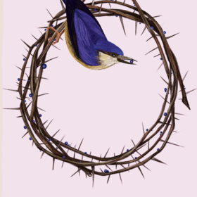 обложка для книги "Поющие в терновнике"