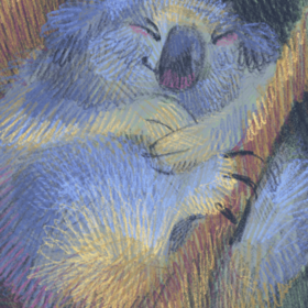 Фауна Австралии 