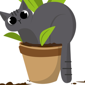 плакаты приюта для животных