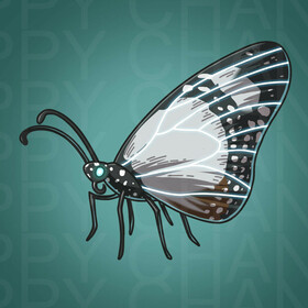 Мои работы из проекта NFT