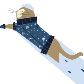 История одного кота.  