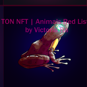 Нфт - проект