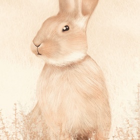 Серия "Милые-пушистые"