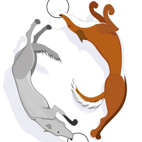 Работы в Adobe Illustrator