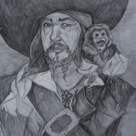 the pirate and the monkey