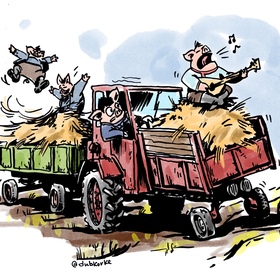 Свинки из глубинки