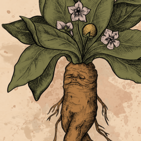 Иллюстрации для карт Таро. Оракул растений.